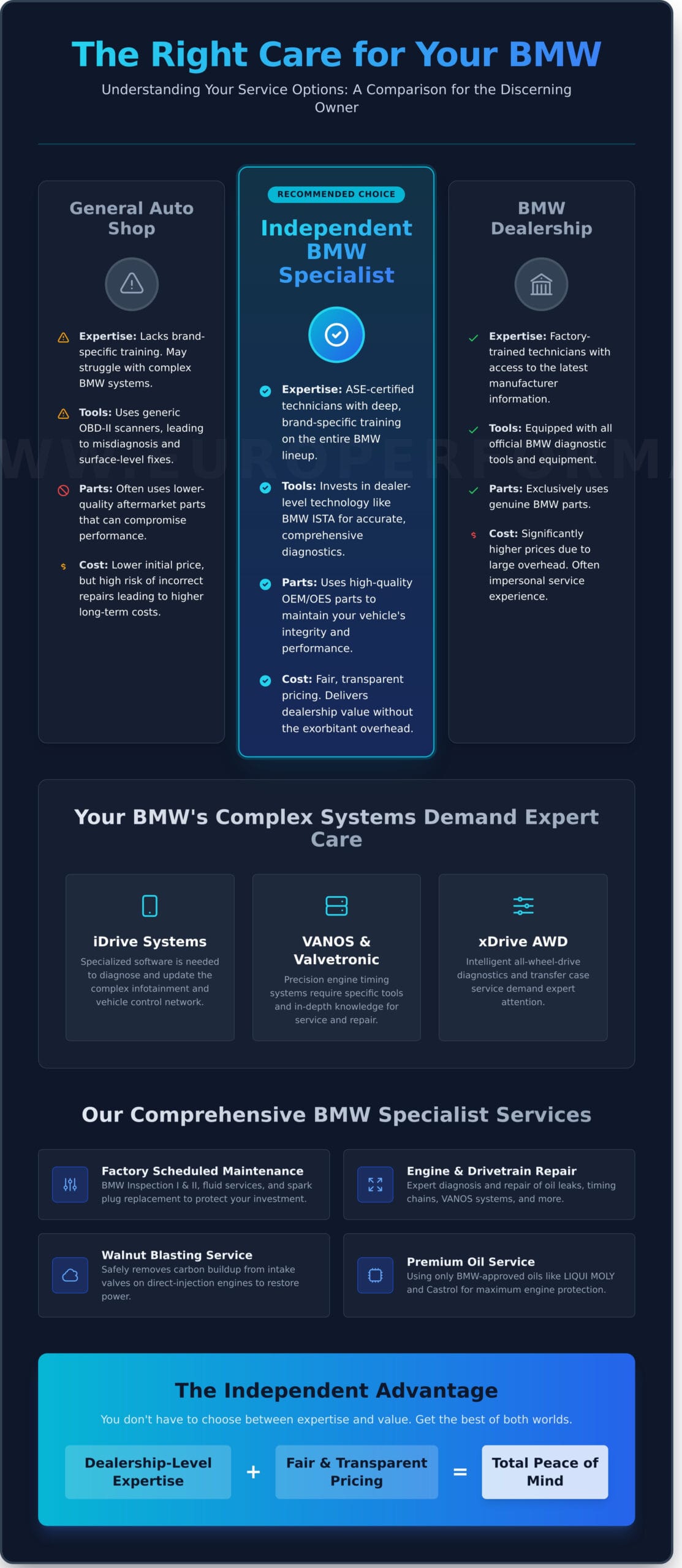 Your Expert BMW Mechanic in Belgrade, MT - Infographic